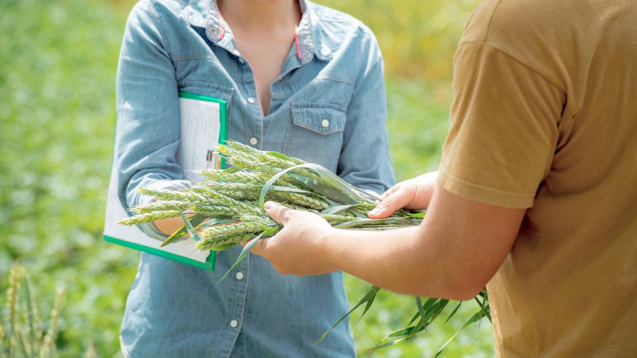 Conseillers et spécialistes en agriculture