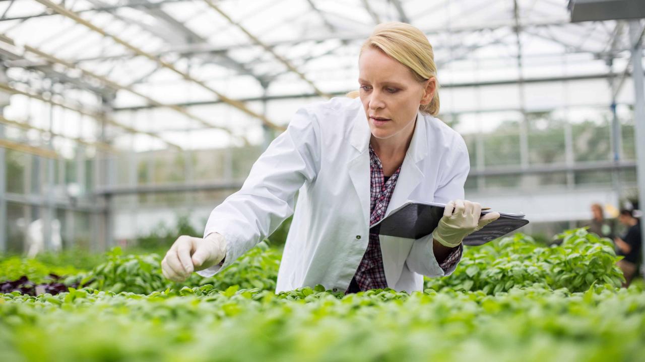 Inspecteurs des produits agricoles et de la pêche