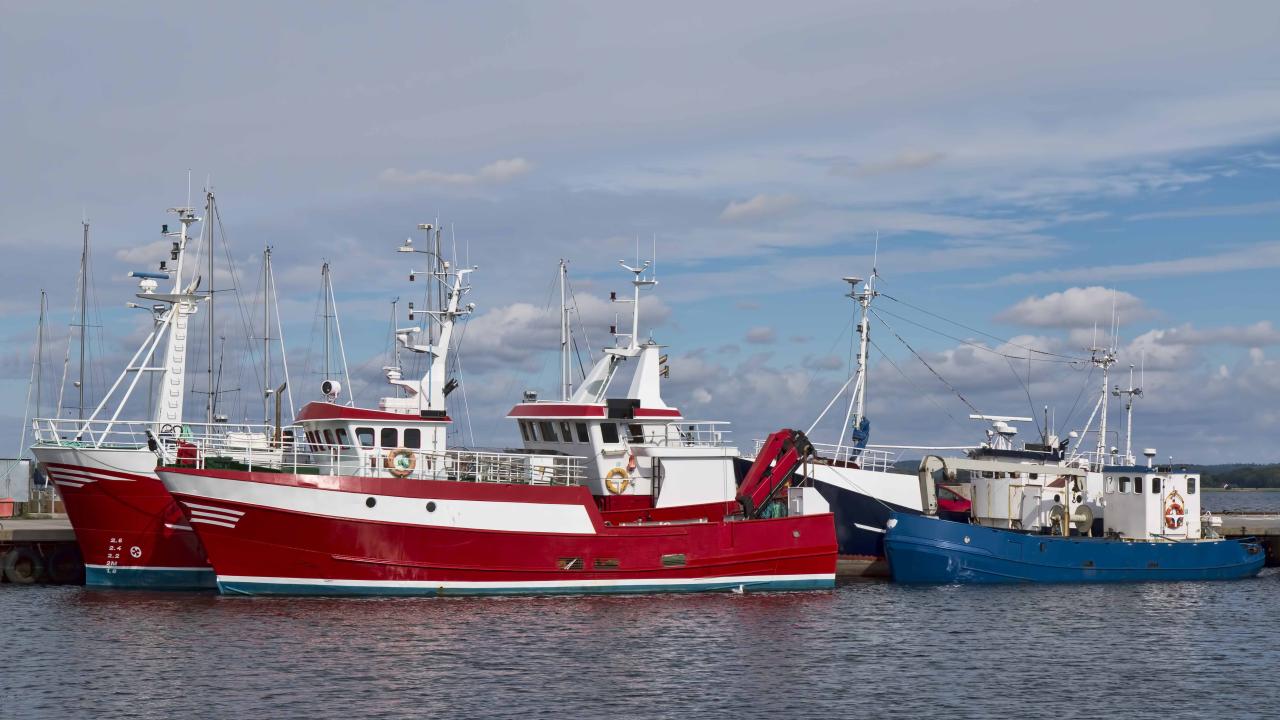 Techniciens du milieu naturel et de la pêche