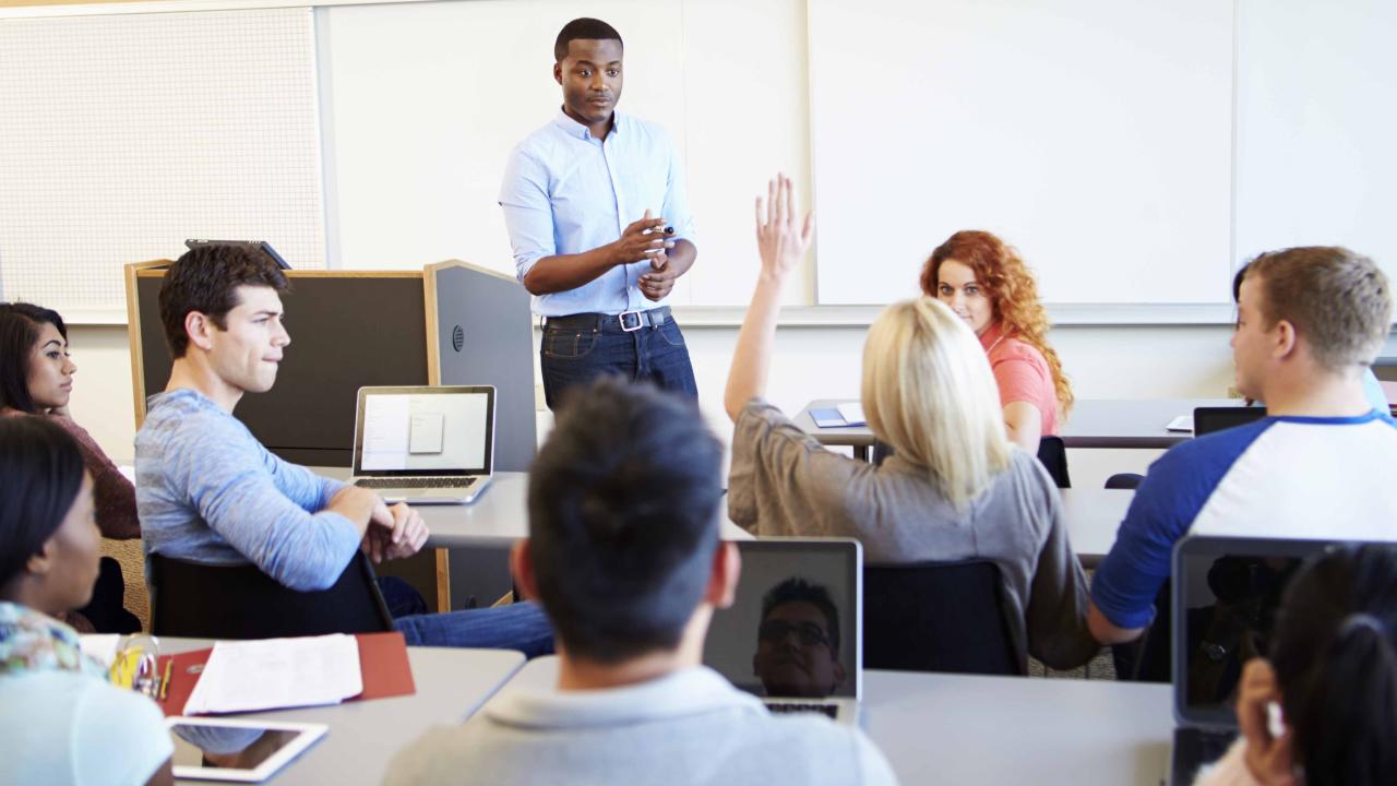 Professeurs au niveau collégial et instructeurs dans les écoles de formation professionnelle