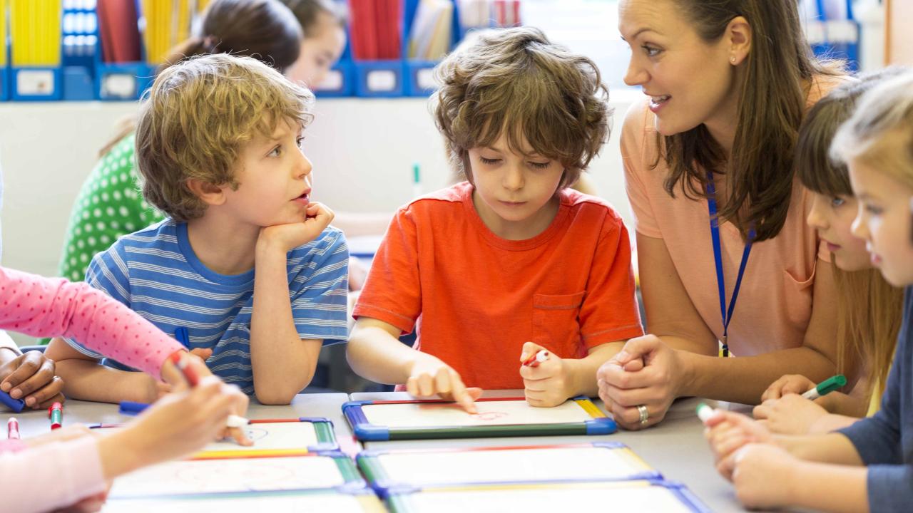 Aides-enseignants aux niveaux primaire et secondaire