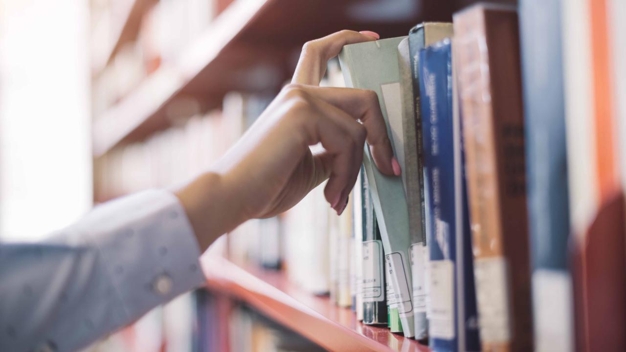 Techniciens dans les bibliothèques et les services d'archives publiques