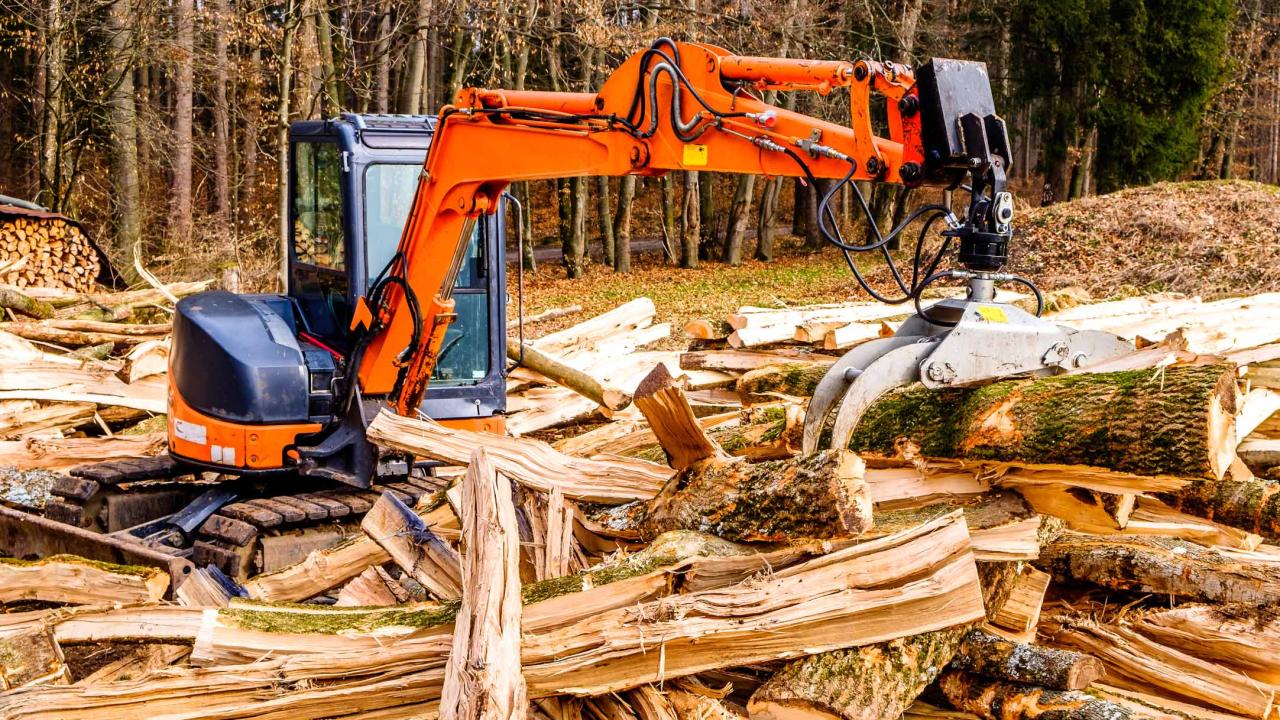 Conducteurs de machines d'abattage d'arbres