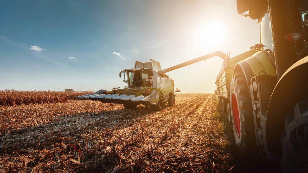 Entrepreneurs de services agricoles et surveillants  d’exploitations agricoles