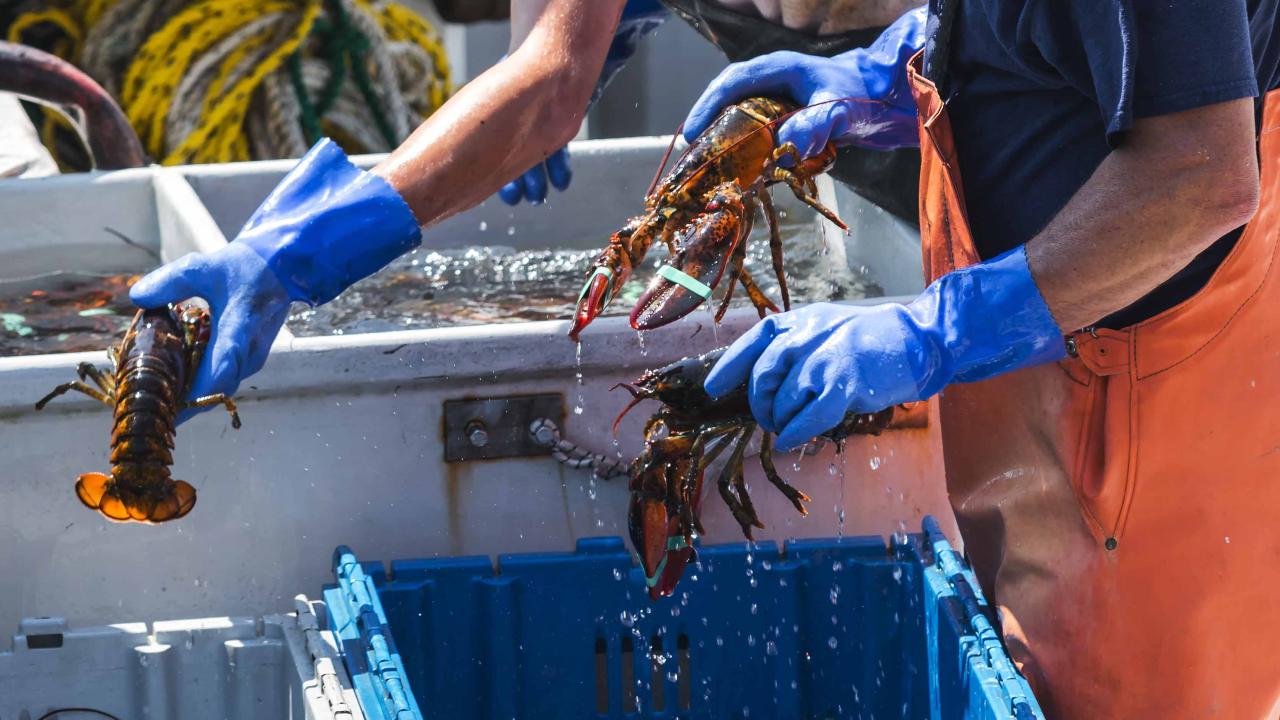 Pêcheurs indépendants