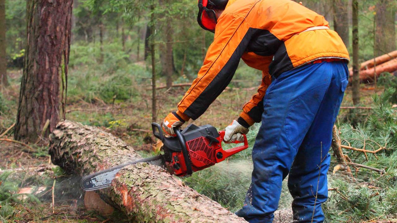 Opérateurs de scies à chaîne et d'engins de débardage