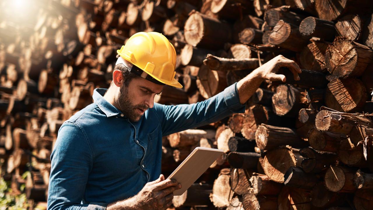 Classeurs de bois d’œuvre et autres vérificateurs et classeurs dans la transformation du bois