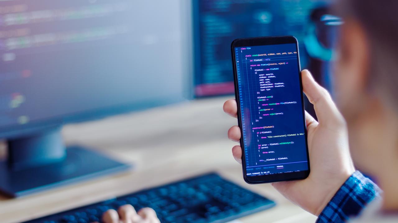 Développeurs et programmeurs de logiciels