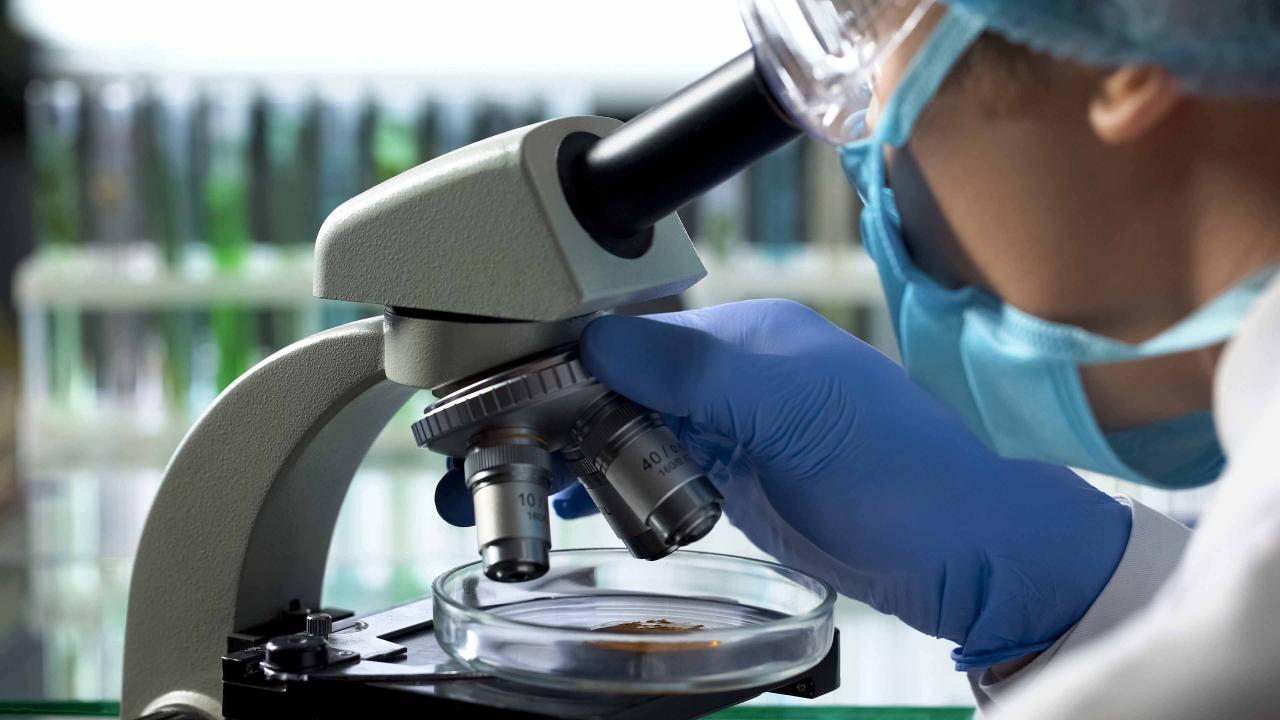 Technologues de laboratoires médicaux