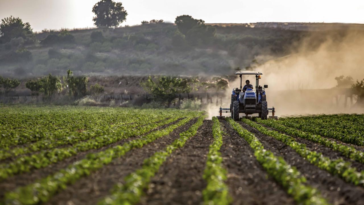 Ouvriers agricoles
