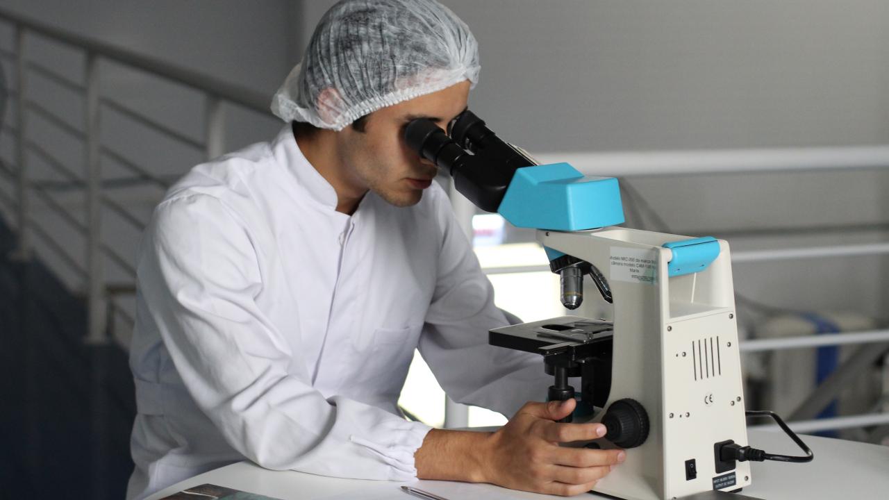 Techniciens de laboratoire médical et assistants en pathologie