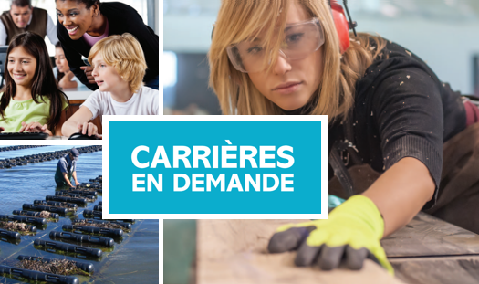 Carrières en demande