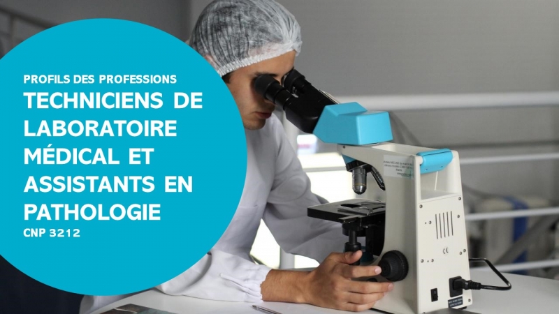 profils des professions