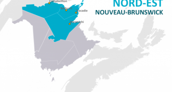 Profil régional du Nord-Est (version intégrale)