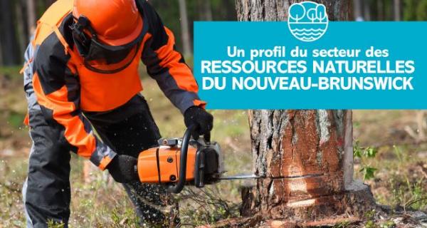Ressources Naturelles