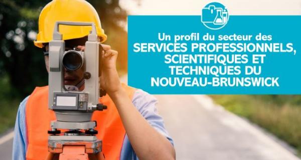 Services professionnels, scientifiques et techniques