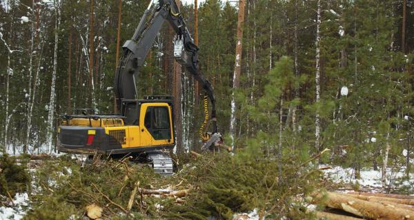 Conducteurs de machines d’abattage d’arbres