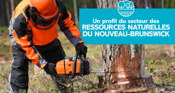 Secteur des ressources naturelles