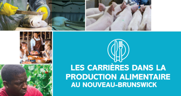 Carrières en production alimentaire