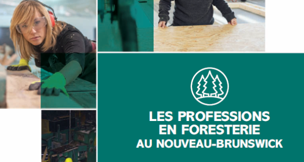 Carrières en foresterie