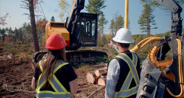 Professions en foresterie en vedette