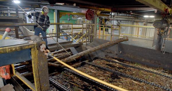 Opérateurs de machines à travailler le bois 