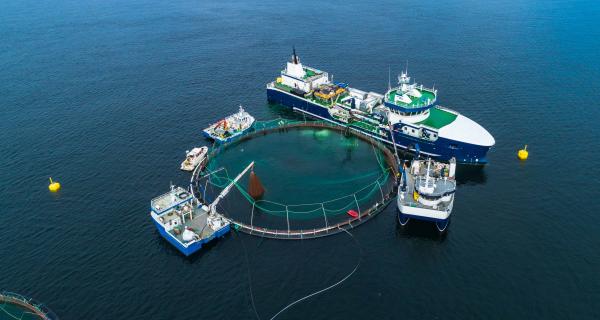 Manoeuvres de l'aquaculture et de la mariculture