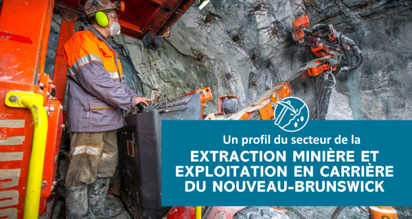 Extraction Minière et Exploitation En Carrière